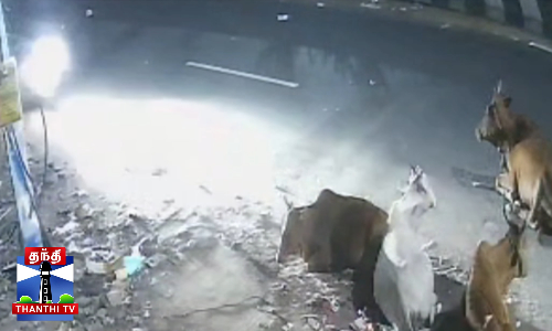 உயிர் பலி வாங்கிய அதிவேக பயணம்