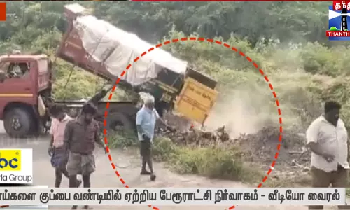 நாய்களை குப்பை வண்டியில் ஏற்றிய பேரூராட்சி நிர்வாகம் - வீடியோ வைரல்