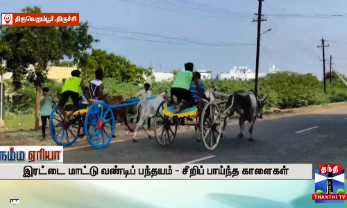 இரட்டை மாட்டு வண்டி பந்தையம் - சீறி பாயந்த காளைகள்