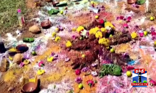 அடர்ந்த காட்டுக்குள் ஆறடி குழிதோண்டி புதையல் வேட்டை