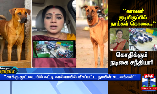 “சாக்கு மூட்டையில் கட்டி கால்வாயில் வீசப்பட்ட நாயின் சடலங்கள்“
