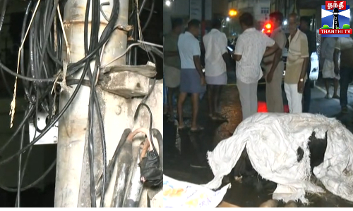 மின்மாற்றியில் இருந்து மின்சாரம் பாய்ந்து 2 மாடுகள் பலி