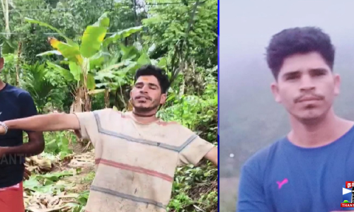 விஷம் குடித்து விவசாயி தற்கொலை - காரணமான காட்டு யானைகள்?