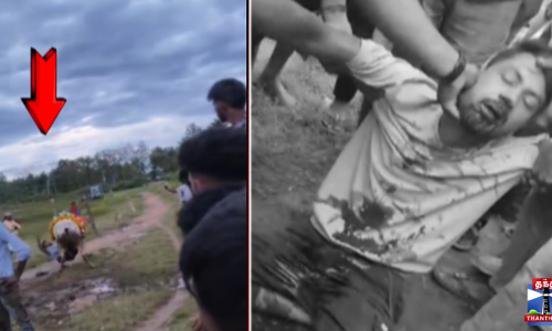 எருது விடும் விழாவில் இளைஞரை முட்டி தூக்கி வீசிய காளை