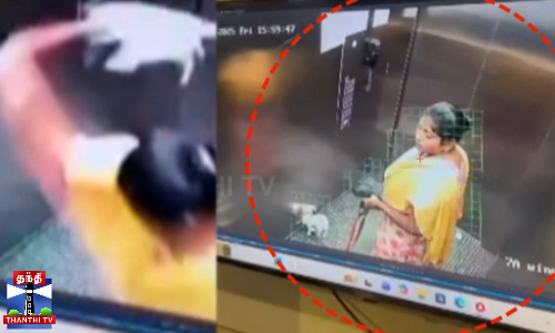 நாயை லிப்டில் அடித்துக்கொன்ற பெண் - CCTV