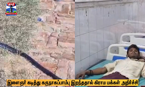 இளைஞர் கடித்து கருநாகப்பாம்பு இறந்ததால் கிராம மக்கள் அதிர்ச்சி