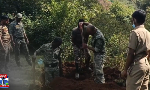 காட்டெருமை வேட்டை - கேரளாவை சேர்ந்த ஒருவர் கைது