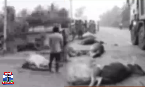 அடையாளம் தெரியாத வாகனம் மோதி 10 பசு மாடுகள் பலி.