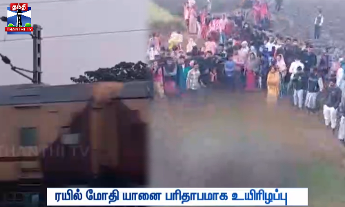 ரயில் மோதி யானை பரிதாபமாக உயிரிழப்பு