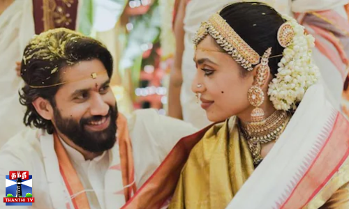 திருமணமாகி ஓராண்டு நிறைவு - வீடியோ வெளியிட்ட நடிகை சோபிதா