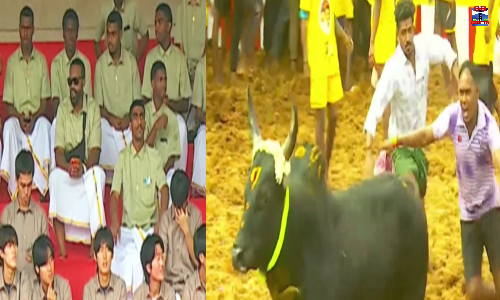 சிறப்பு ஜல்லிக்கட்டு போட்டி- வியந்து பார்த்த வெளிநாட்டு வீரர்கள்