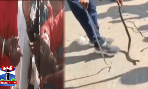 உத்தரப்பிரதேசம் - பாம்பு கடித்து மூலிகை வியாபாரி பலி உத்தரப்பிரதேசம் - பாம்பு கடித்து மூலிகை வியாபாரி பலி