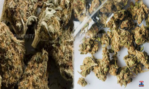 நெல்லையில் 220 கிலோ கஞ்சா பறிமுதல் - 2 பேர் கைது