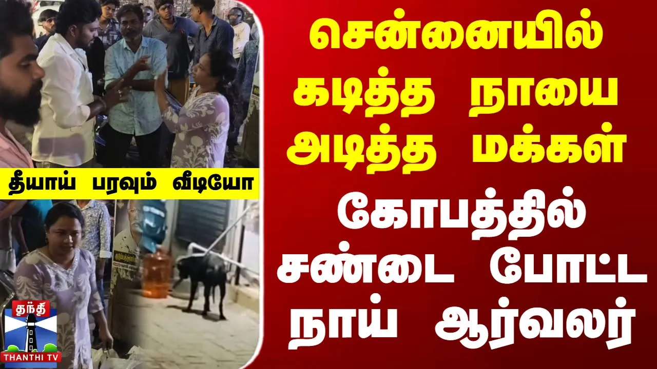 Chennai | Dog | சென்னையில் கடித்த நாயை அடித்த மக்கள் - கோபத்தில் சண்டை போட்ட நாய் ஆர்வலர்