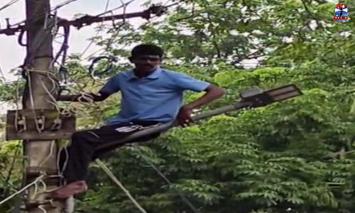 வேலை கேட்டு மின்கம்பத்தில் ஏறி இளைஞர் தற்கொலை முயற்சி
