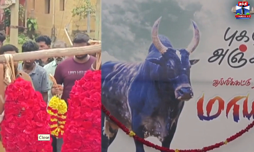 ஜல்லிக்கட்டு காளை உயிரிழப்பு - மேலதாளங்களுடன் ஊர்வலம்