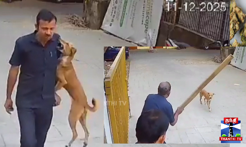 மும்பை அடுத்த கோரேகாவ்-ல் குடியிருப்பு வளாகத்தில் காவலாளி மீது பாய்ந்து குதறிய தெரு நாய் மும்பை அடுத்த கோரேகாவ்-ல் குடியிருப்பு வளாகத்தில் காவலாளி மீது பாய்ந்து குதறிய தெரு நாய்