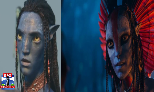 இந்திய அளவில் ரூ.66.25 கோடி வசூலை அள்ளிய அவதார்-3