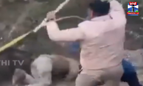 வனத்துறை அதிகாரியை கொடூரமாக தாக்கிய காட்டுப்பன்றி