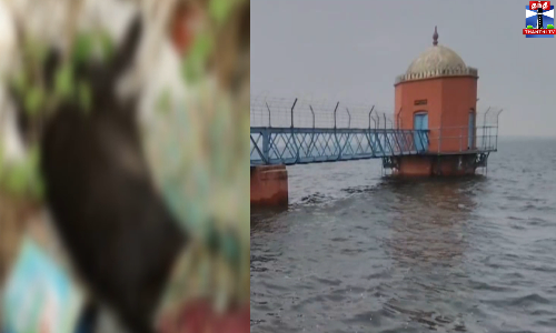 குடிநீர் ஆதாரமான புழல் ஏரி பகுதியில் நாயின் சடலம் - அதிர்ச்சி