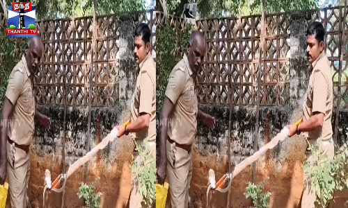 பாம்பு பிடிக்க சென்ற தீயணைப்பு வீரருக்கு நேர்ந்த திடுக்கிடும் சம்பவம்