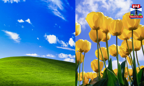 பிரபலமான விண்டோஸ் வால்பேப்பர்கள் வீடியோ வடிவில்...ஏஐ கற்பனை