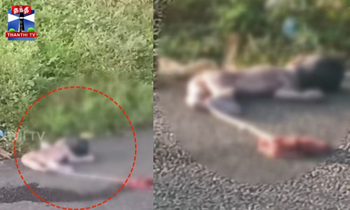 பச்சிளம் குழந்தையை சாலையில் வீசி சென்ற கொடூரம்