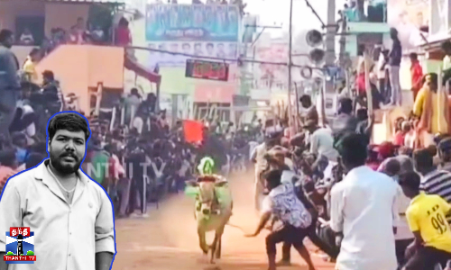 மாடுமுட்டி திருவிழா - காளைமுட்டி இளைஞர் பலி