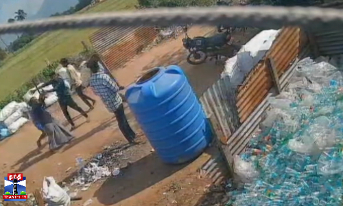 பூனையைக் கொன்ற இளைஞர்- தட்டிக்கேட்டவர் மீது தாக்குதல்