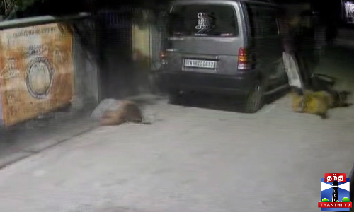 நாகையில் சண்டையை வேடிக்கை பார்க்க சென்றவர் மீது கார் ஏற்றி கொலை முயற்சி - சிசிடிவி நாகையில் சண்டையை வேடிக்கை பார்க்க சென்றவர் மீது கார் ஏற்றி கொலை முயற்சி - சிசிடிவி