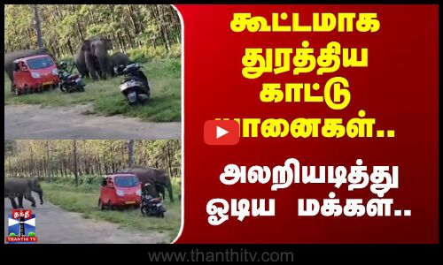 Wild Elephant | Kerala | Viral Video | கூட்டமாக துரத்திய காட்டு யானைகள்.. அலறியடித்து ஓடிய மக்கள்!