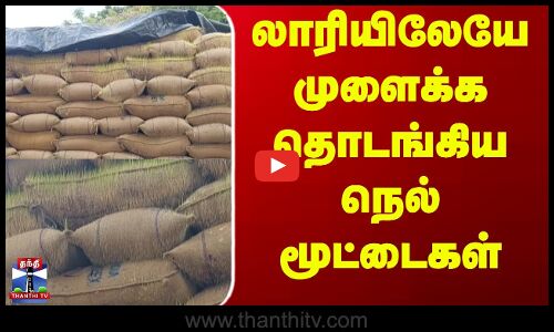 Paddy Start Sprouting || லாரியிலேயே முளைக்க தொடங்கிய நெல் மூட்டைகள்