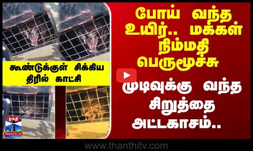 Leopard | Viral Video | Karnataka | சிக்கிய சிறுத்தை.. மக்கள் நிம்மதி பெருமூச்சு - திரில் காட்சி