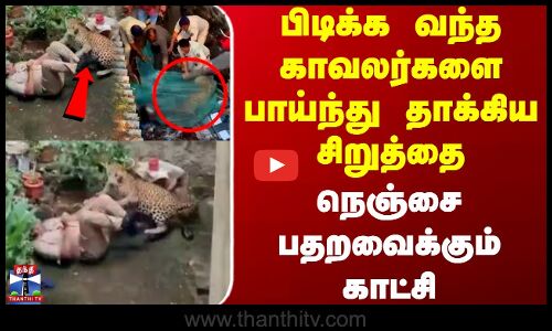 Maharashtra Cheetah | பிடிக்க வந்த காவலர்களை பாய்ந்து தாக்கிய சிறுத்தை - நெஞ்சை பதறவைக்கும் காட்சி