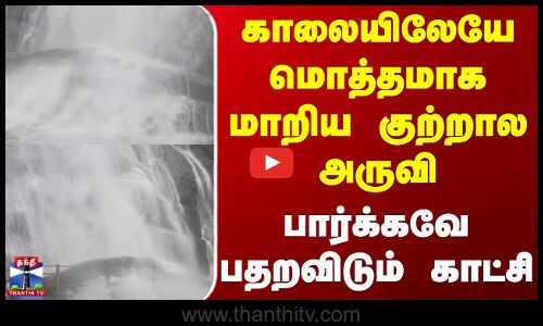 Courtallam Falls | காலையிலேயே மொத்தமாக மாறிய குற்றால அருவி - பார்க்கவே பதறவிடும் காட்சி