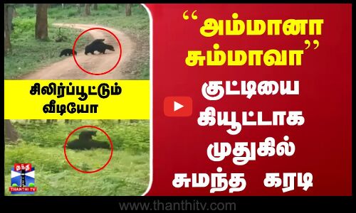 ``அம்மானா சும்மாவா... குட்டியை கியூட்டாக முதுகில் சுமந்த கரடி - சிலிர்ப்பூட்டும் வீடியோ
