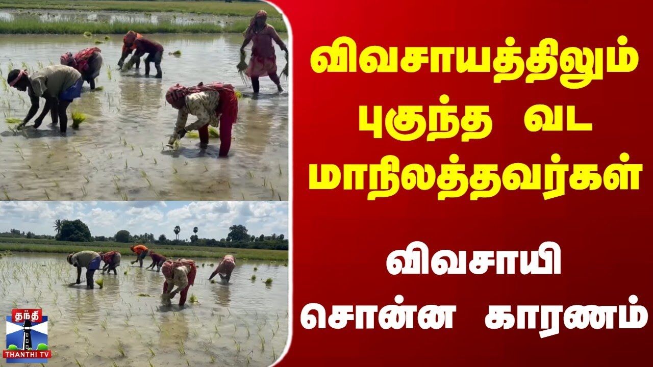 Viluppuram | North Farmers | விவசாயத்திலும் புகுந்த வடமாநிலத்தவர்கள் | விவசாயி சொன்ன காரணம்