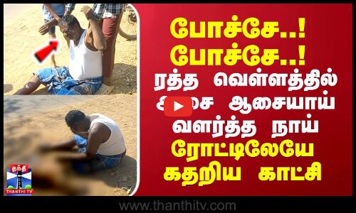 போச்சே..! போச்சே..! ரத்த வெள்ளத்தில் ஆசை ஆசையாய் வளர்த்த நாய்.. ரோட்டிலேயே கதறிய காட்சி
