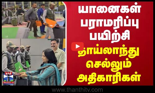 யானைகள் பராமரிப்பு பயிற்சி - தாய்லாந்து செல்லும் அதிகாரிகள்