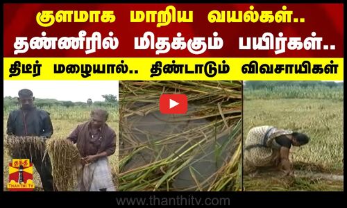 குளமாக மாறிய வயல்கள்.. தண்ணீரில் மிதக்கும் பயிர்கள்.. திடீர் மழையால் - திண்டாடும் விவசாயிகள்