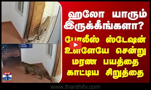 Gudalur ஹலோ யாரும் இருக்கீங்களா?-போலீஸ் ஸ்டேஷன் உள்ளேயே சென்று மரண பயத்தை காட்டிய சிறுத்தை