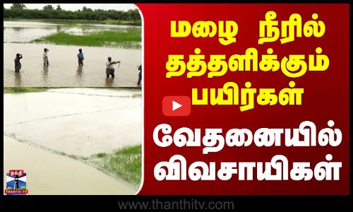 Cuddalore | Flood | மழை நீரில் தத்தளிக்கும் பயிர்கள் - வேதனையில் விவசாயிகள்