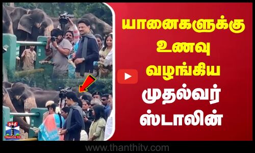 யானைகளுக்கு உணவு வழங்கிய முதல்வர் ஸ்டாலின்