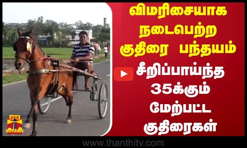 விமரிசையாக நடைபெற்ற குதிரை பந்தயம்.. சீறிப்பாய்ந்த 35க்கும் மேற்பட்ட குதிரைகள்..
