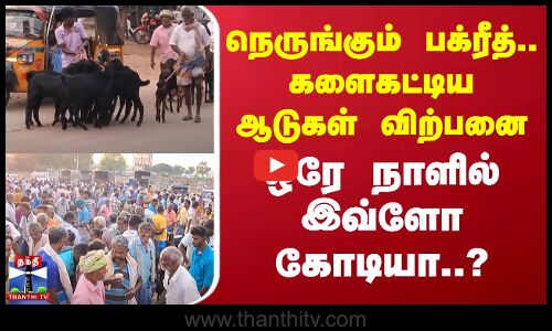 நெருங்கும் பக்ரீத்.. களைகட்டிய ஆடுகள் விற்பனை - ஒரே நாளில் இவ்ளோ கோடியா..?