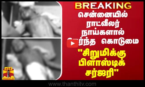 BREAKING || சென்னையில் ராட்வீலர் நாய்களால் நேர்ந்த கொடுமை - சிறுமிக்கு பிளாஸ்டிக் சர்ஜரி