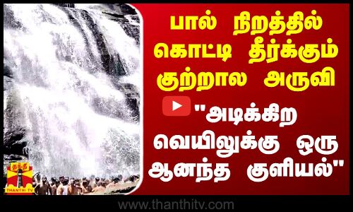 பால் நிறத்தில் கொட்டி தீர்க்கும் குற்றால அருவி.. அடிக்கிற வெயிலுக்கு ஒரு ஆனந்த குளியல்..