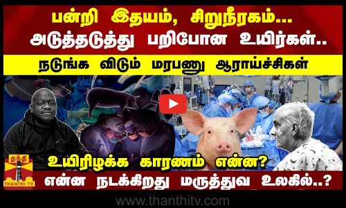 பன்றி சிறுநீரகம்... பறிபோன உயிர்கள்..நடுநடுங்க விடும் மரபணு ஆராய்ச்சிகள் உயிரிழக்க காரணம் என்ன?