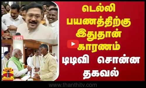டெல்லி பயணத்திற்கு இதுதான் காரணம்... டிடிவி தினகரன் சொன்ன தகவல் | Chennai Airport | TTV Dinakaran