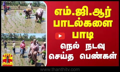 எம்.ஜி.ஆர் பாடல்களை பாடி நெல் நடவு செய்த பெண்கள்